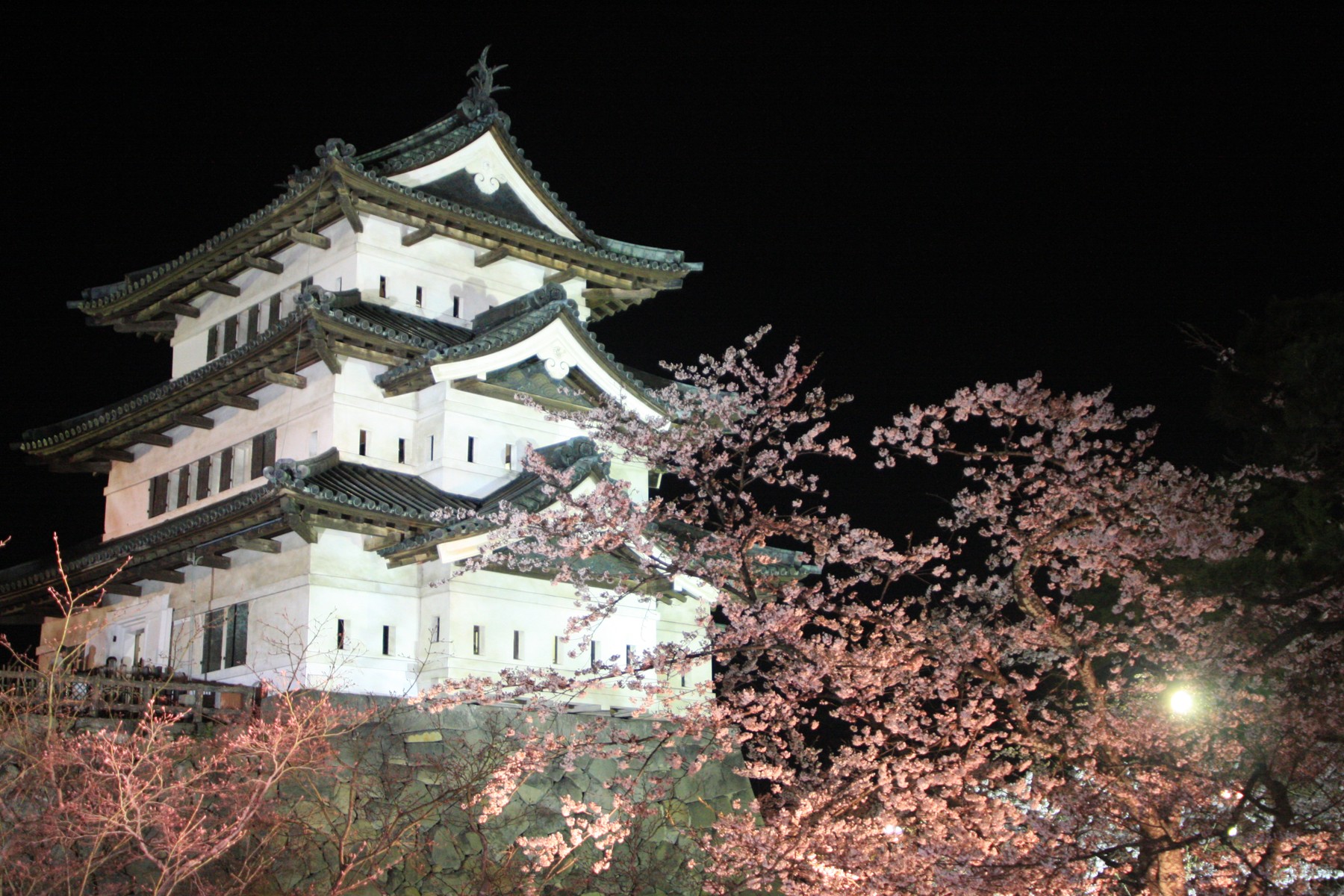 castle-night